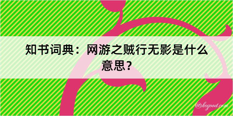 知书词典：网游之贼行无影是什么意思？