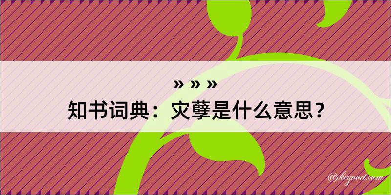 知书词典：灾孽是什么意思？