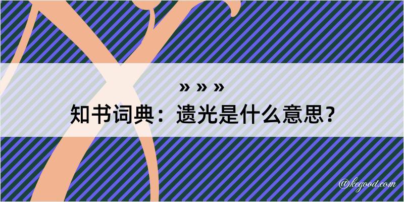 知书词典：遗光是什么意思？