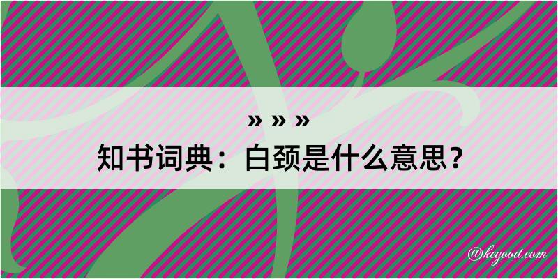 知书词典：白颈是什么意思？