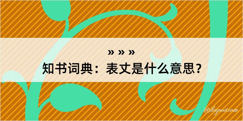 知书词典：表丈是什么意思？