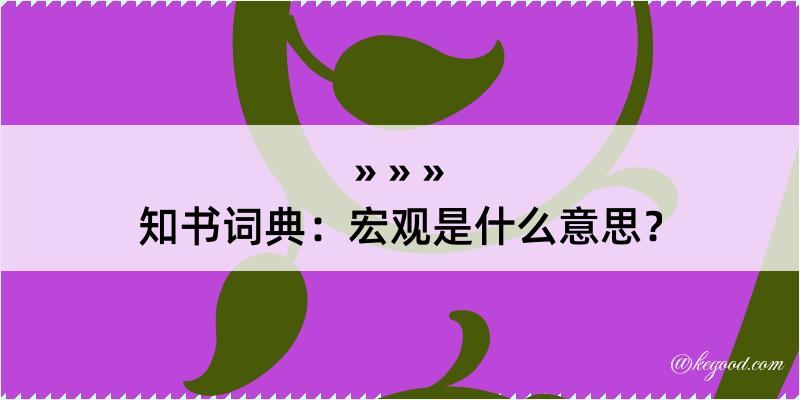 知书词典：宏观是什么意思？