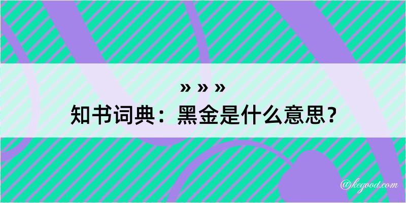 知书词典：黑金是什么意思？