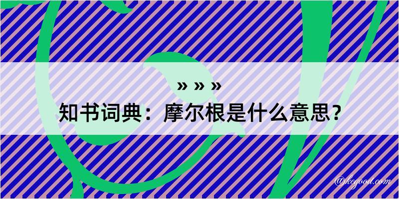 知书词典：摩尔根是什么意思？