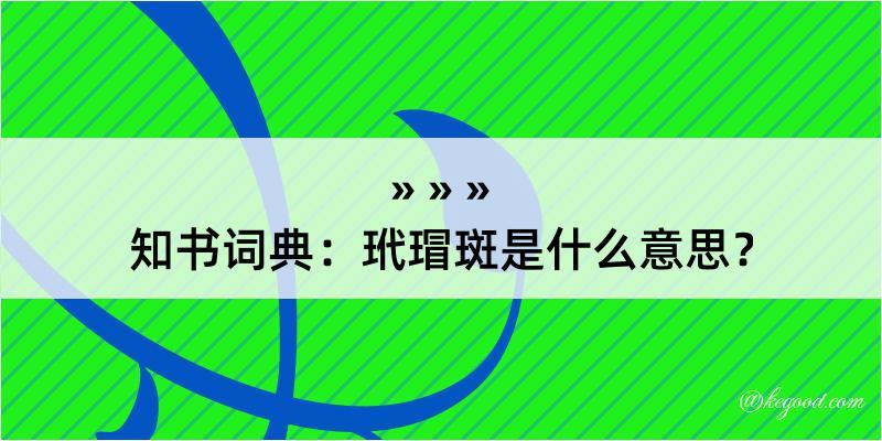 知书词典：玳瑁斑是什么意思？