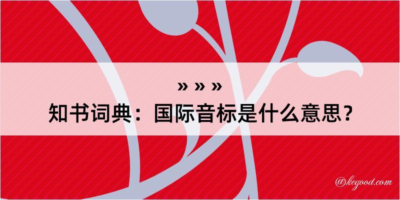 知书词典：国际音标是什么意思？