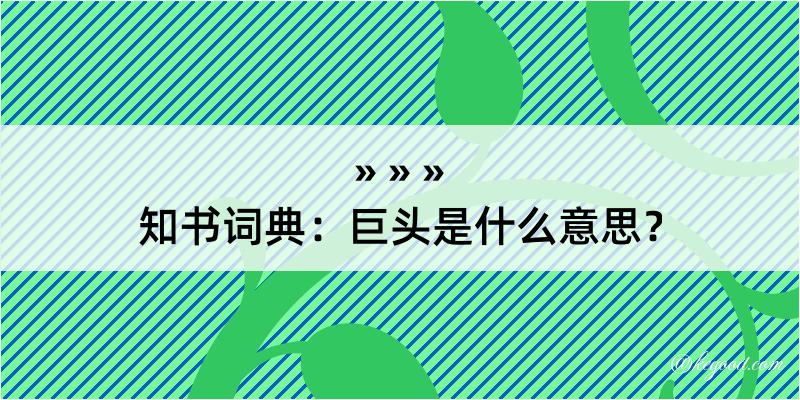 知书词典：巨头是什么意思？