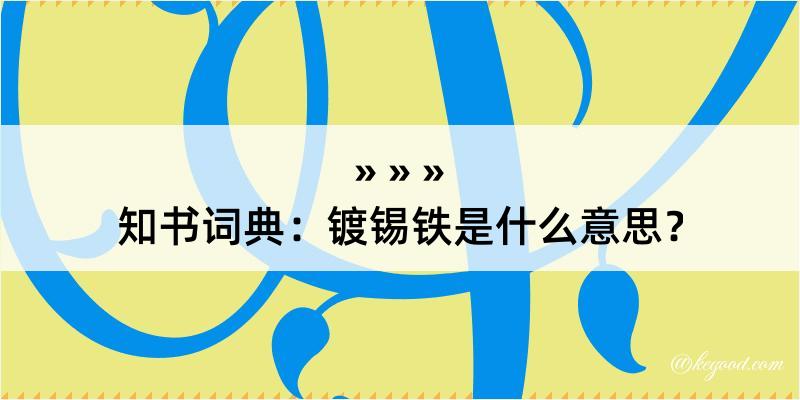 知书词典：镀锡铁是什么意思？