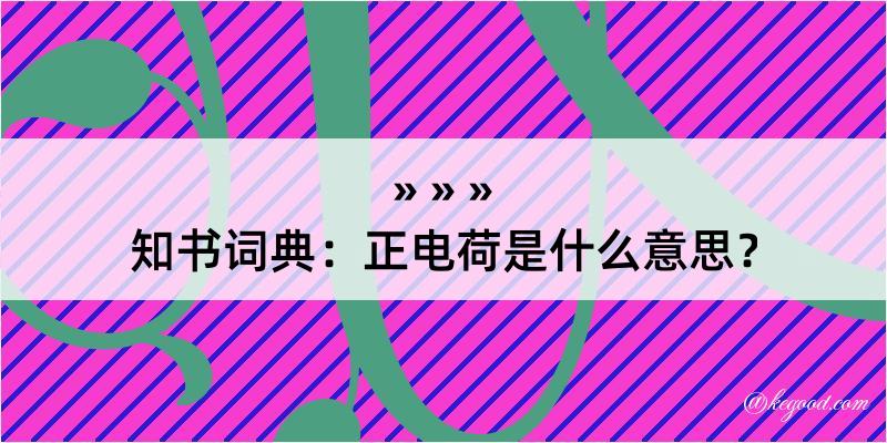 知书词典：正电荷是什么意思？