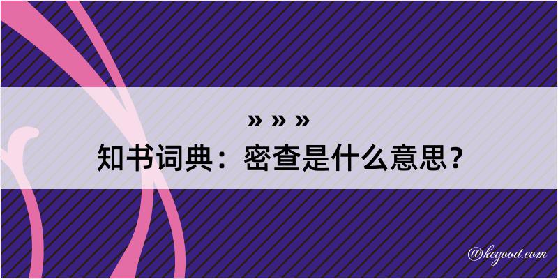 知书词典：密查是什么意思？