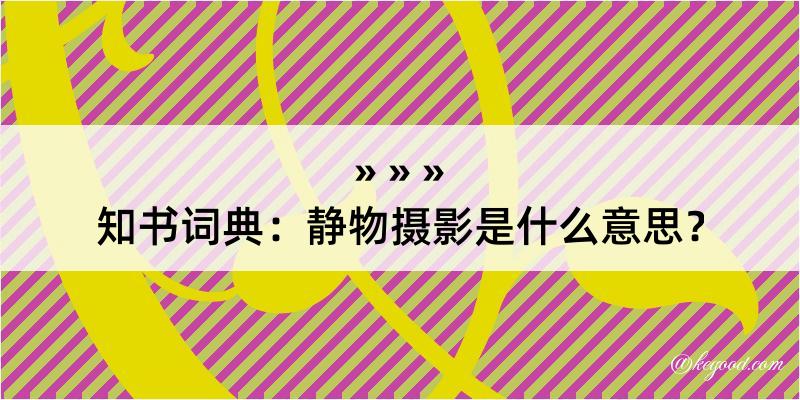 知书词典：静物摄影是什么意思？