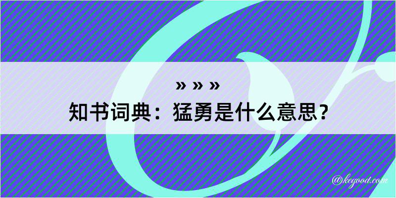 知书词典：猛勇是什么意思？