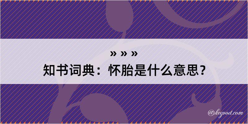 知书词典：怀胎是什么意思？