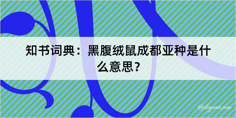 知书词典：黑腹绒鼠成都亚种是什么意思？