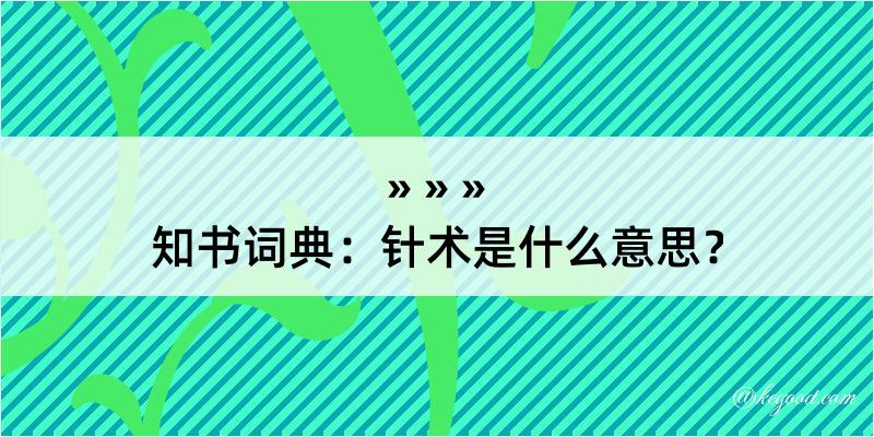 知书词典：针术是什么意思？