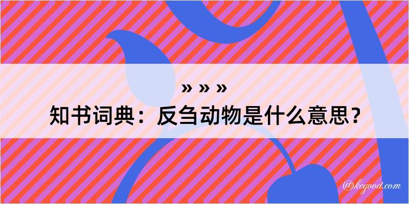 知书词典：反刍动物是什么意思？