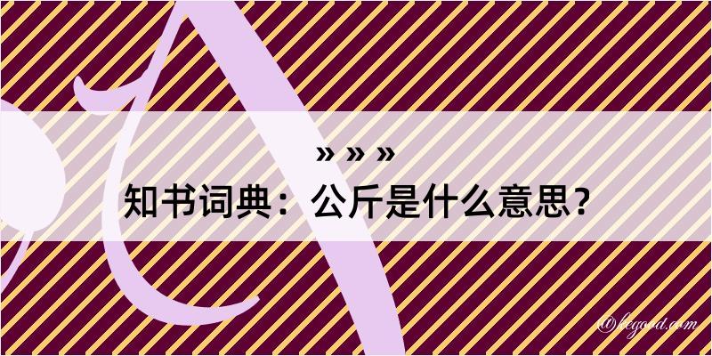 知书词典：公斤是什么意思？