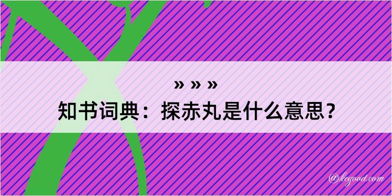 知书词典：探赤丸是什么意思？