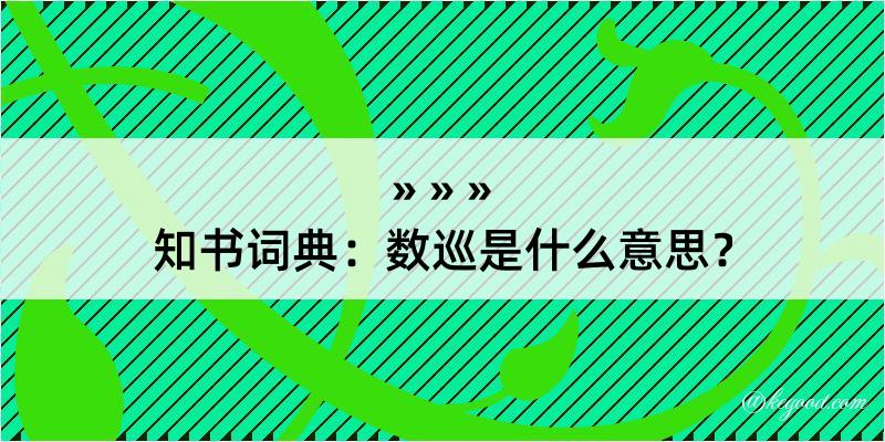 知书词典：数巡是什么意思？