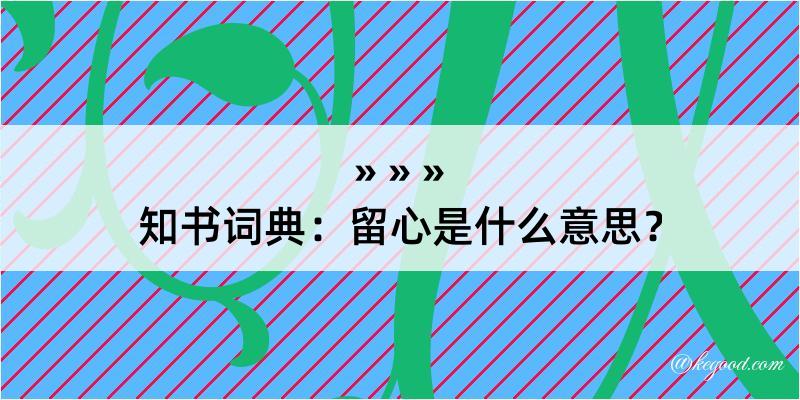 知书词典：留心是什么意思？