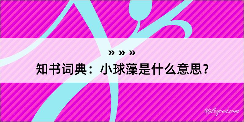 知书词典：小球藻是什么意思？