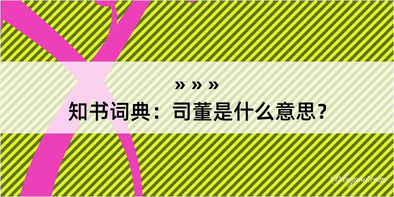 知书词典：司董是什么意思？