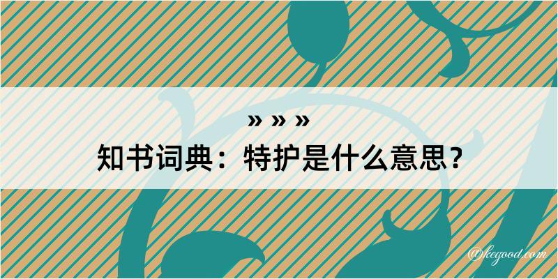 知书词典：特护是什么意思？