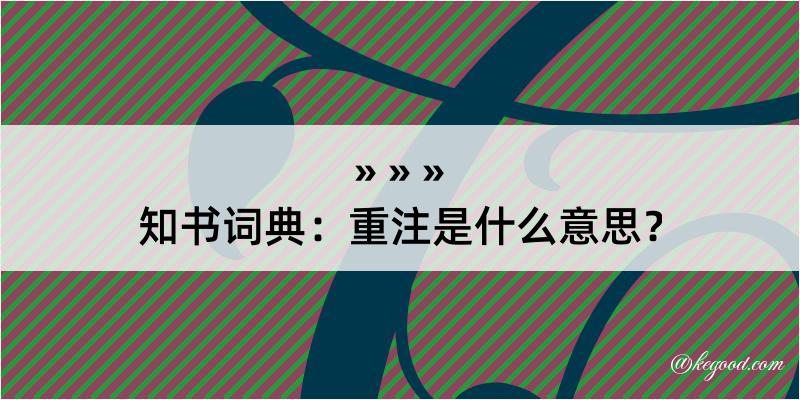 知书词典：重注是什么意思？