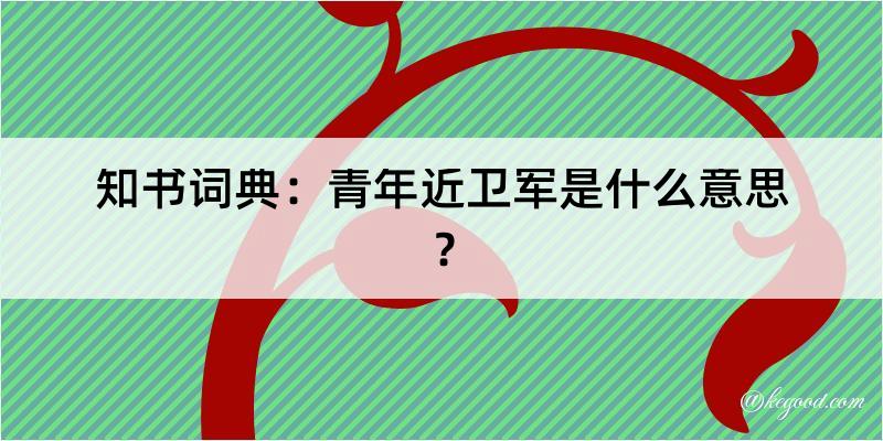 知书词典：青年近卫军是什么意思？