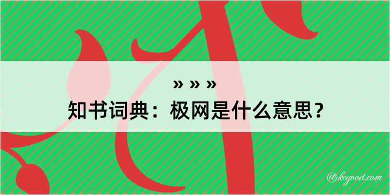 知书词典：极网是什么意思？