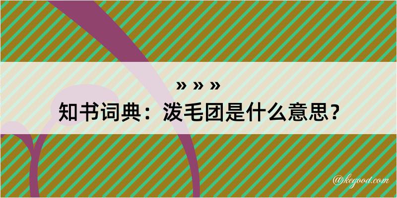 知书词典：泼毛团是什么意思？