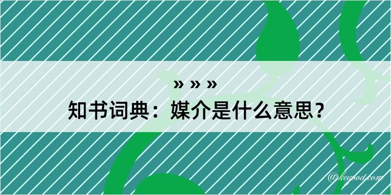 知书词典：媒介是什么意思？