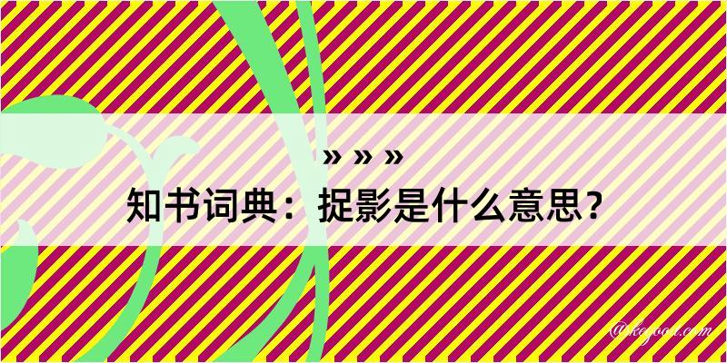 知书词典：捉影是什么意思？