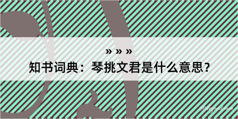 知书词典：琴挑文君是什么意思？