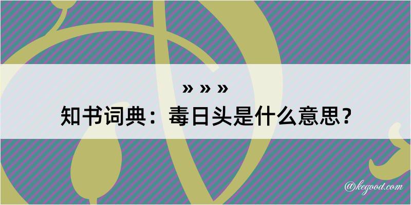 知书词典：毒日头是什么意思？