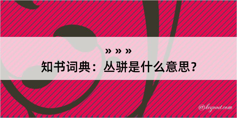 知书词典：丛骈是什么意思？