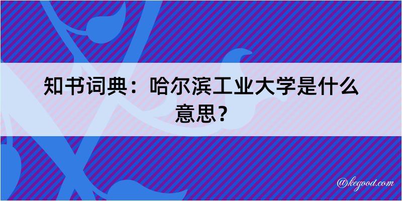 知书词典：哈尔滨工业大学是什么意思？