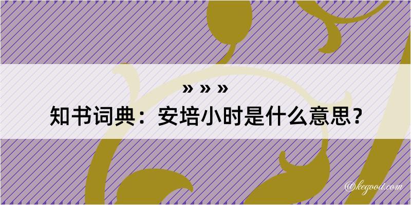 知书词典：安培小时是什么意思？