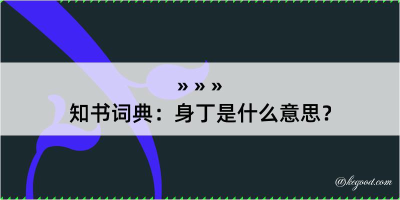 知书词典：身丁是什么意思？