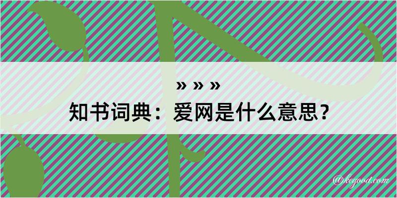 知书词典：爱网是什么意思？