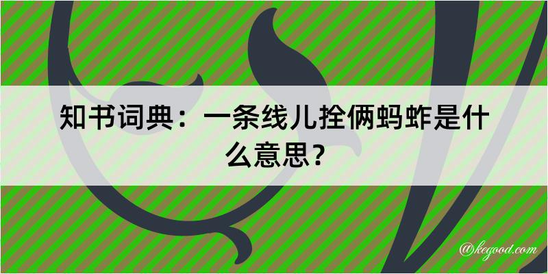 知书词典：一条线儿拴俩蚂蚱是什么意思？