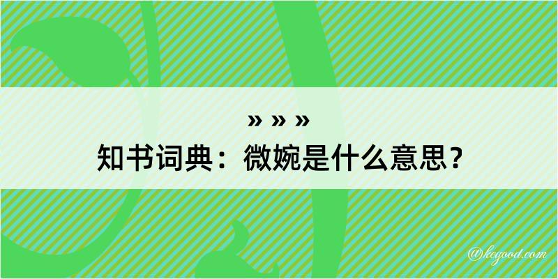 知书词典：微婉是什么意思？