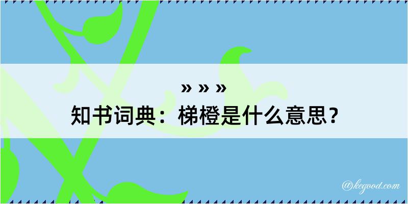 知书词典：梯橙是什么意思？