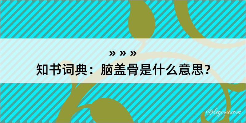 知书词典：脑盖骨是什么意思？