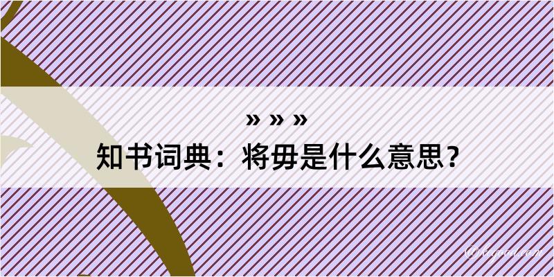 知书词典：将毋是什么意思？