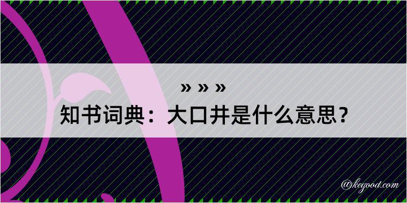 知书词典：大口井是什么意思？