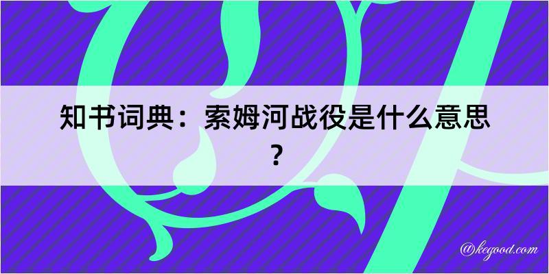 知书词典：索姆河战役是什么意思？