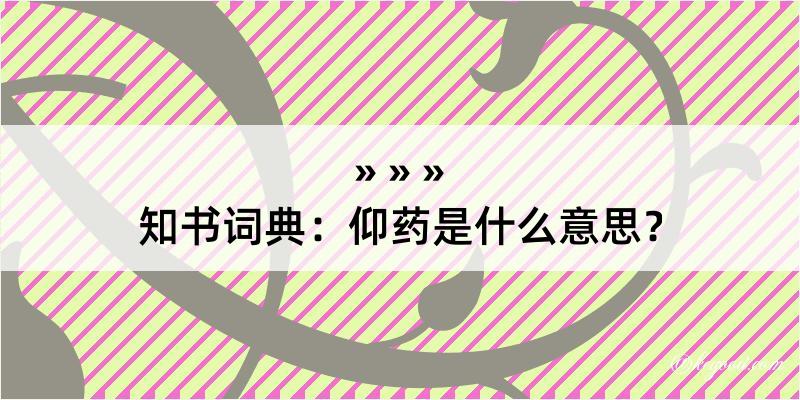 知书词典：仰药是什么意思？