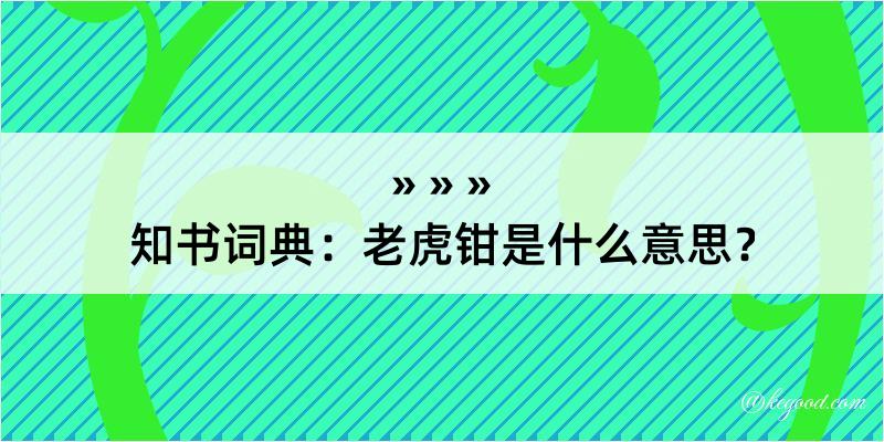 知书词典：老虎钳是什么意思？