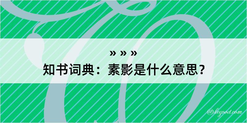 知书词典：素影是什么意思？